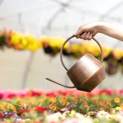 Antique Copper Watering Can