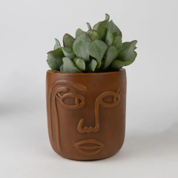 Big Brown Eyes Terracotta Face Planter