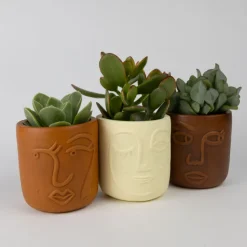Big Brown Eyes Terracotta Face Planter