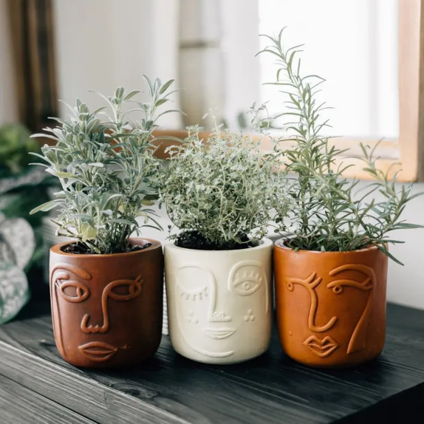 Big Brown Eyes Terracotta Face Planter