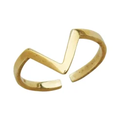 Bombcase Ring Chevron