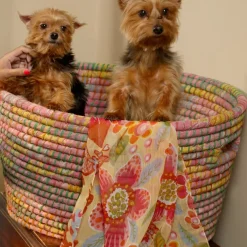 Bright Day Laundry Basket