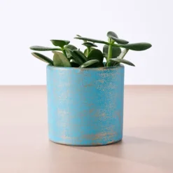 Chota Terracotta Mini Planter - Light Blue