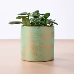 Chota Terracotta Mini Planter - Turquoise