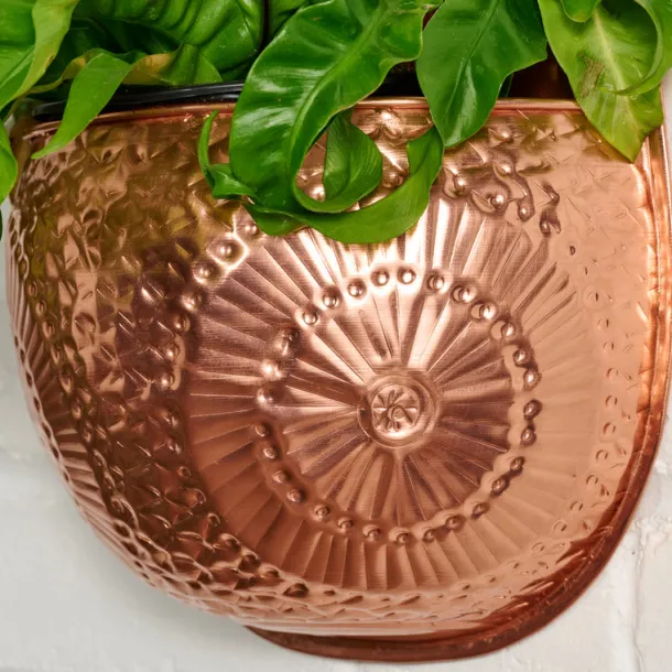 Dekhava Embossed Wall Planter