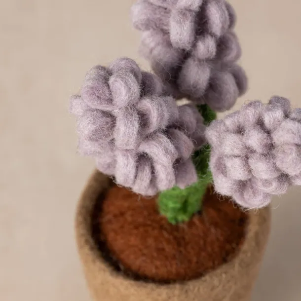 Felted Flower Pot - Hyacinth