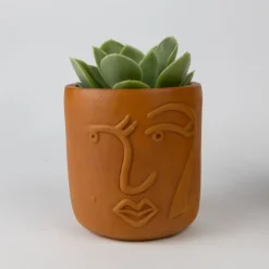 Full Lashes Terracotta Face Planter