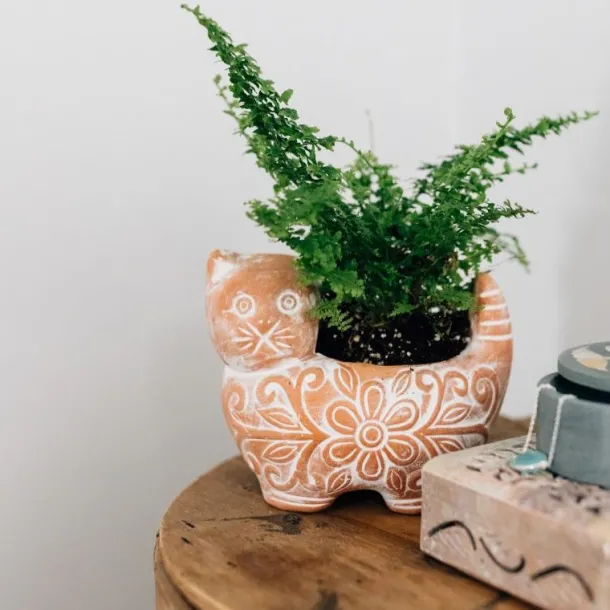 Garden Kitty Planter
