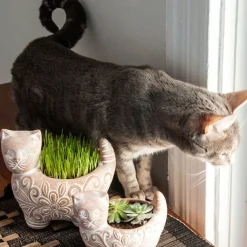 Garden Kitty Planter
