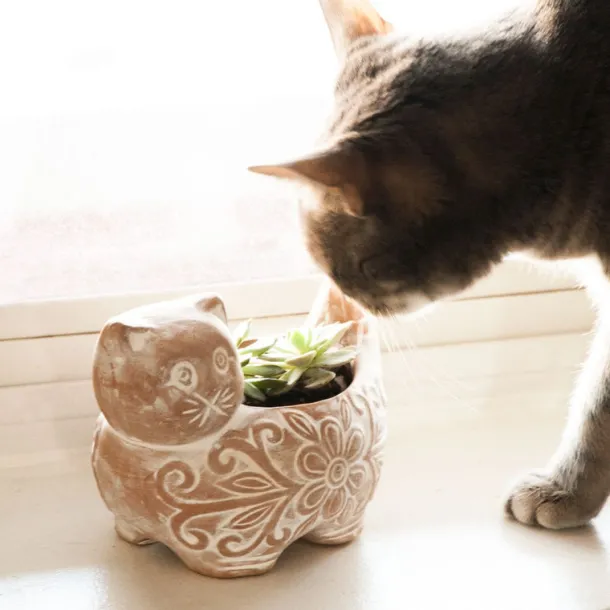 Garden Kitty Planter