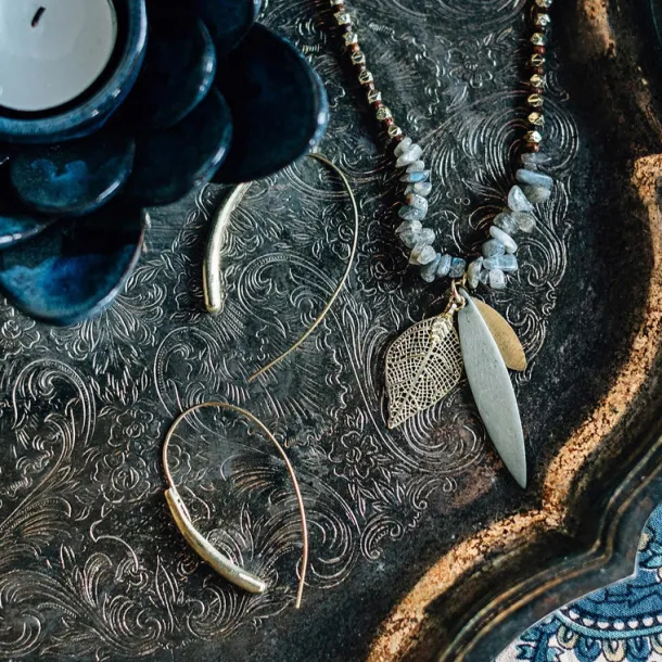 Golden Hook Earrings