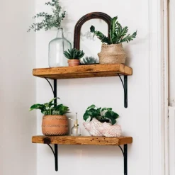 Hedgehog Planter