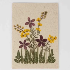 Hello Friend Flowers Greeting Card