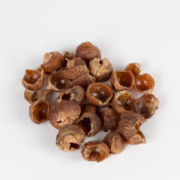 Laundry Soap Nuts