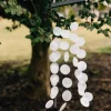 Moon Dance Wind Chimes