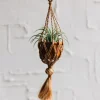 Neeka Mini Macrame Hanging Planter - Terracotta