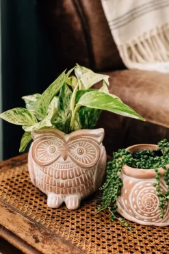 Owl Planter
