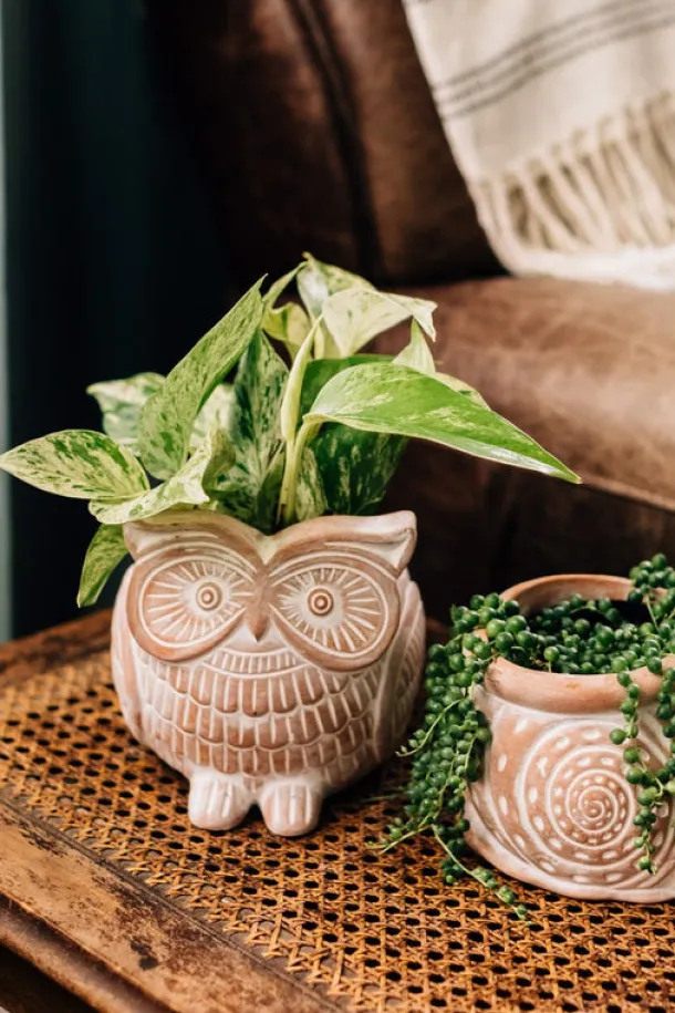 Owl Planter
