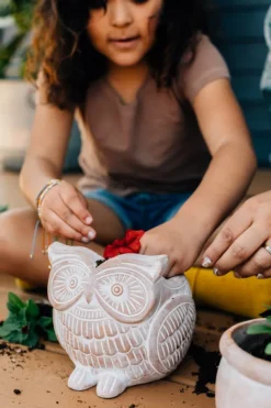 Owl Planter
