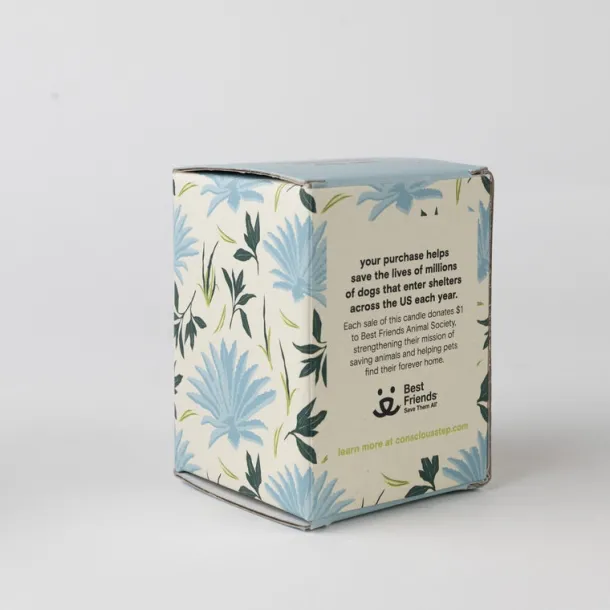 Parks and Paws Candle