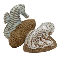 Pedicure Friend Seahorse