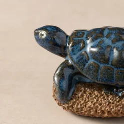 Pedicure Friend Turtle
