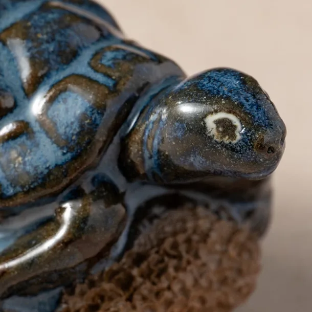 Pedicure Friend Turtle
