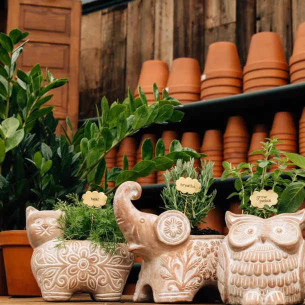 Plant Markers - Rest