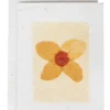 Pressed Daisy Handmade Card