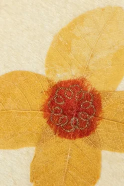 Pressed Daisy Handmade Card