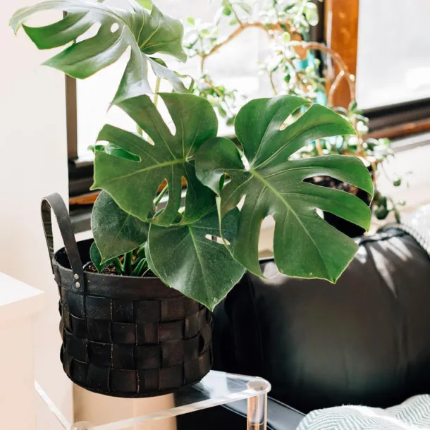 Recycled Tire Utility Tote