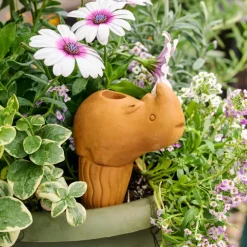 Self Watering Plant Pet - Rhino