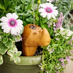 Self Watering Plant Pet - Rhino