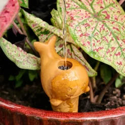 Self Watering Plant Pet - Whale