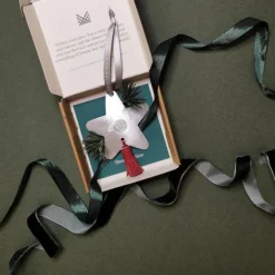 Shooting Star Ornament - MADE51