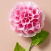 Silk Paper Dahlia Flowers - Pink