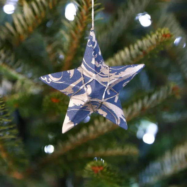 Silver Sky Star