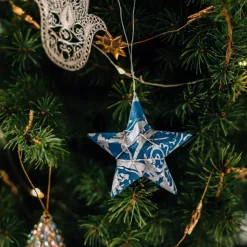 Silver Sky Star