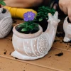 Snail Planter