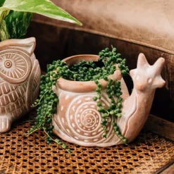 Snail Planter
