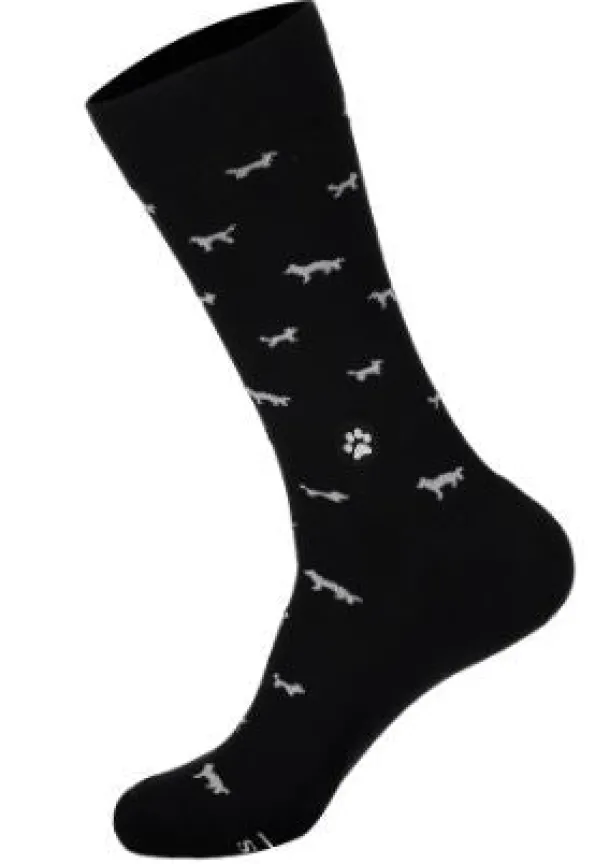 Socks that Save Dogs II