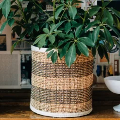 Striped Hogla Basket