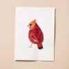 Sweet Memories Cardinal Card