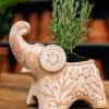 Trumpeting Elephant Planter
