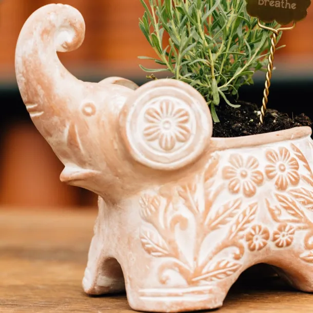 Trumpeting Elephant Planter