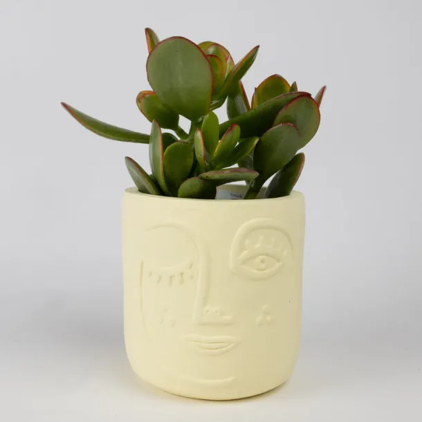 Winky Face Cream Terracotta Planter
