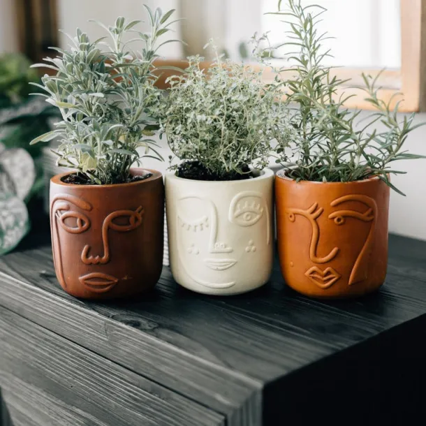 Winky Face Cream Terracotta Planter