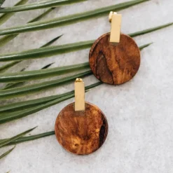 Wood & Brass Post Earrings