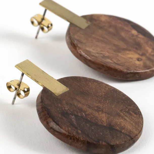 Wood & Brass Post Earrings