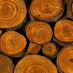 Wood Slice Trivet